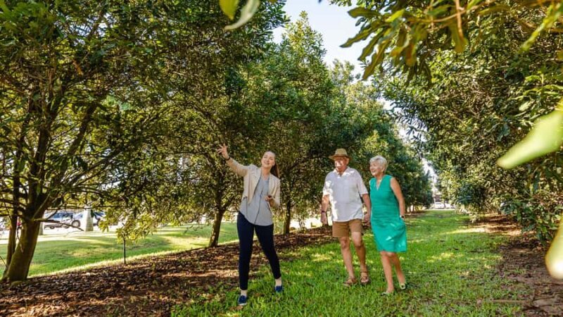 Bundaberg: Macadamia Orchard Tour - Starting Point and Logistics