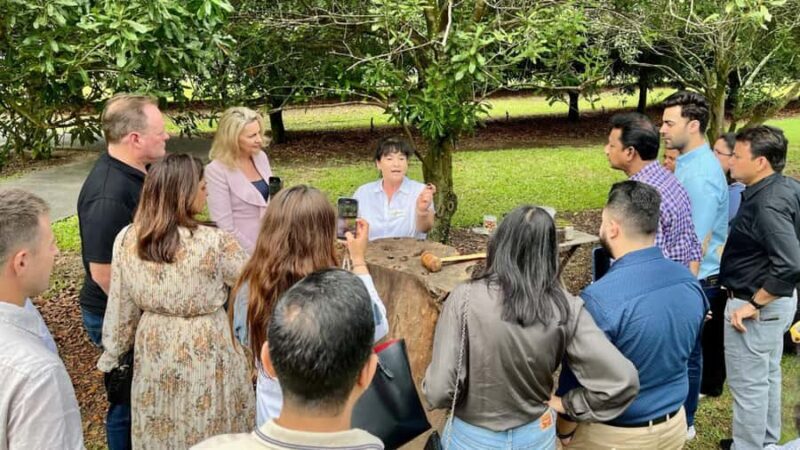 Bundaberg: Macadamia Orchard Tour - The Guided Tour: What to Expect