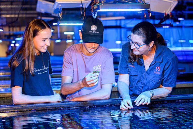 Bundaberg: Monsoon Aquatics Coral Farm Guided Tour - An In-Depth Look at the Coral Farm Tour