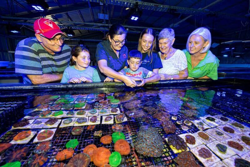 Bundaberg: Monsoon Aquatics Coral Farm Guided Tour - Final Thoughts