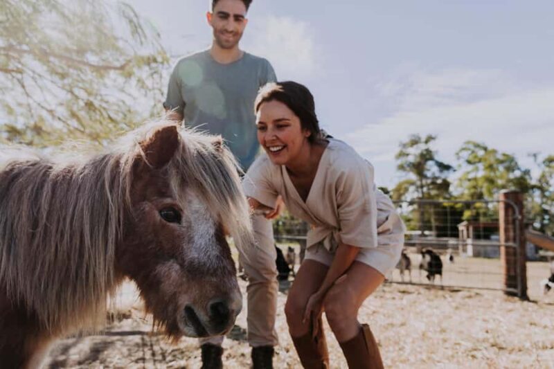 Bundaberg: Splitters Farm Guided Tour - FAQ