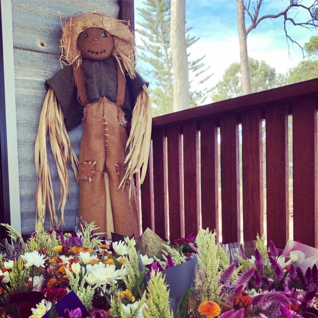 Bundaberg: Splitters Farm Private Guided Tour - Tour Details