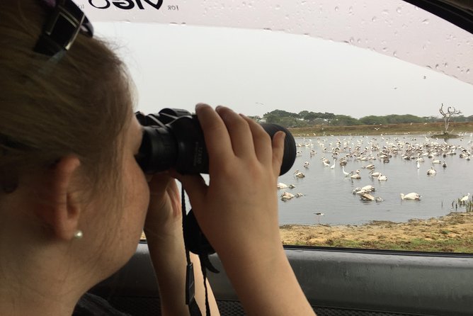 Bundala Birds Safari by Jeeps - Amenities Included
