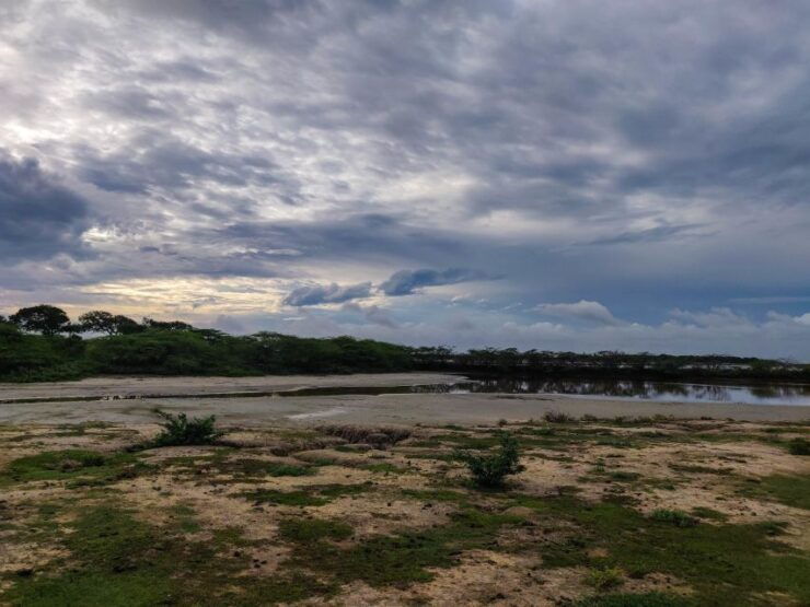 Bundala National Park: 3-Hour Morning or Evening Safari - Safari Experience