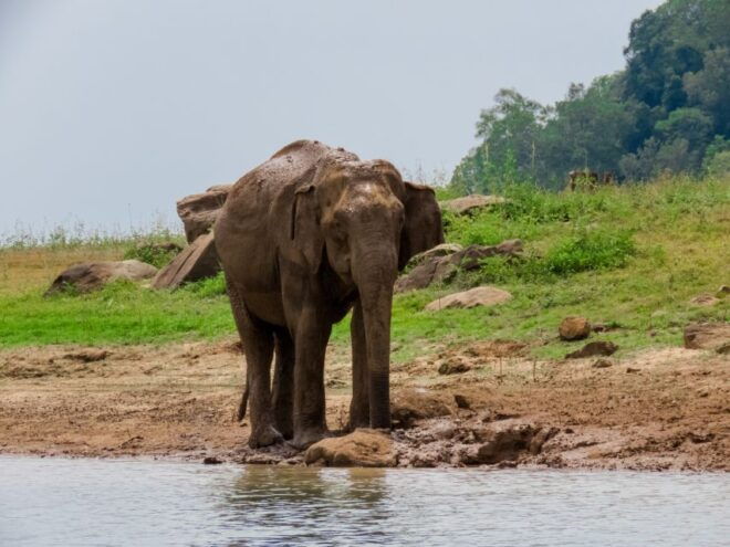 Bundala National Park: 3-Hour Morning or Evening Safari - Description of Bundala National Park