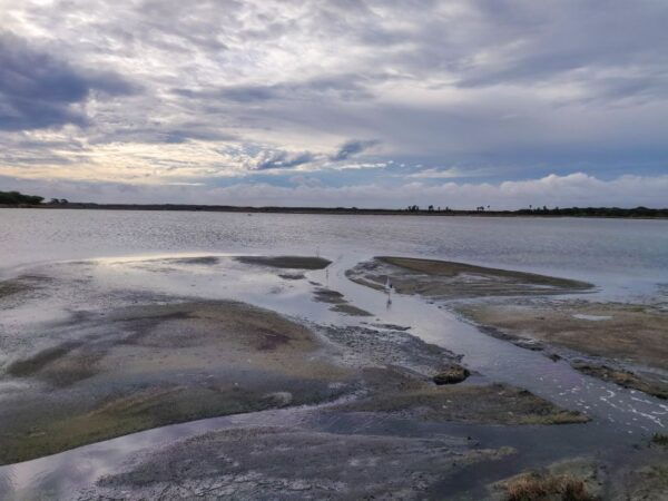 Bundala National Park: 3-Hour Morning or Evening Safari - Location of Bundala National Park
