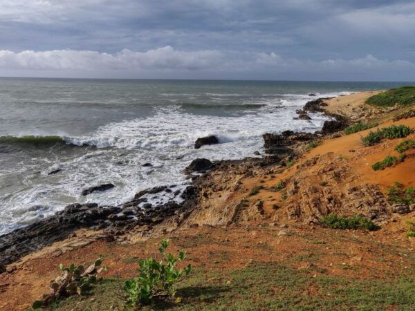 Bundala National Park: 3-Hour Morning or Evening Safari - Importance of the Brackish Lagoon