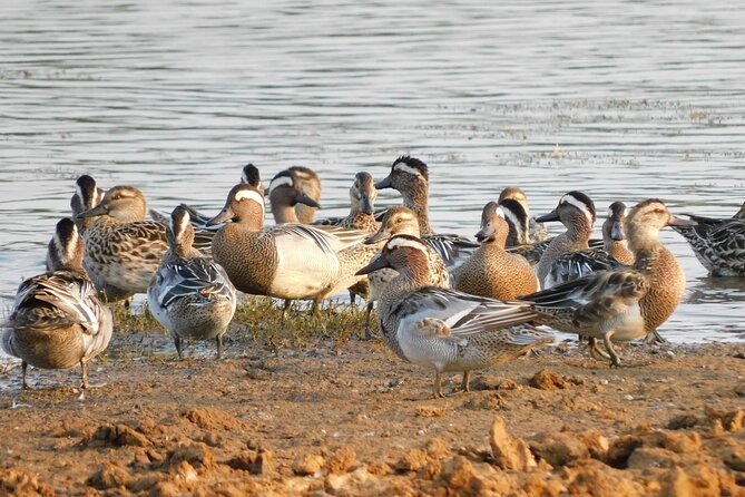 Bundala National Park 5 Hours Safari PRIVATE TOURS - 2 Sessions - Reservation and Payment