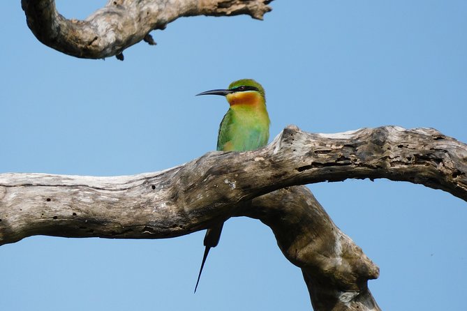 Bundala National Park 5 Hours Safari PRIVATE TOURS - 2 Sessions - The Sum Up