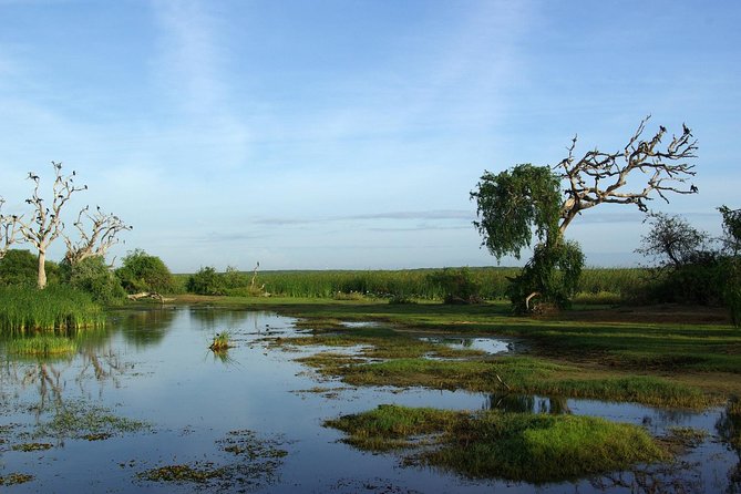 Bundala National Park by Ajith Safari - Scenic Landscapes and Flora