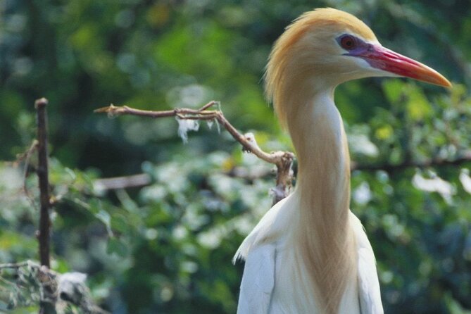 Bundala National Park by Ajith Safari - Safari Options and Packages