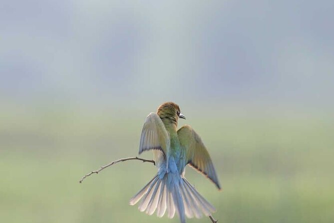 Bundala National Park by Ajith Safari - Common Questions