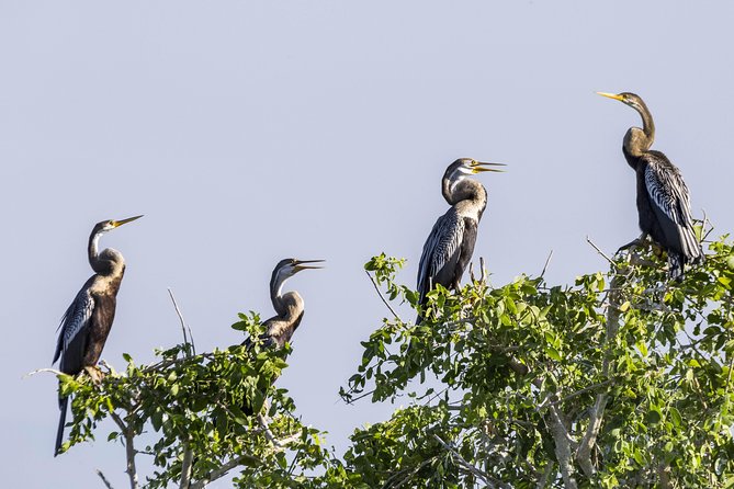 Bundala National Park Private Safari - Whats Included