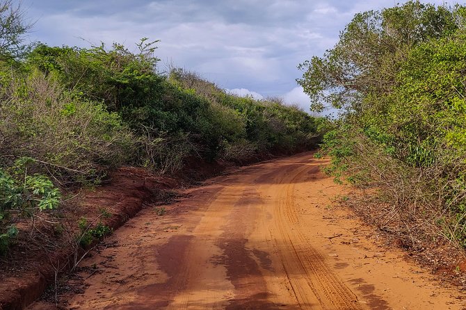 Bundala National Park Private Safari - Directions