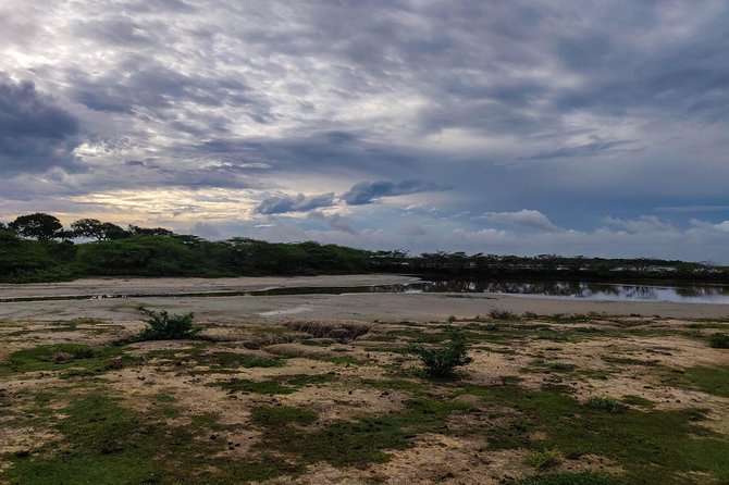 Bundala National Park Private Safari - Additional Info