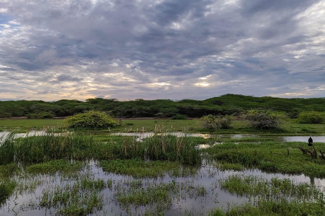 Bundala National Park Private Safari - Reviews