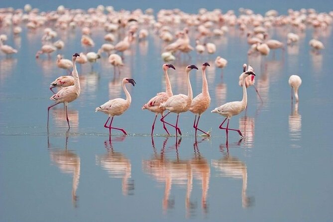 Bundala National Park Private Safari - Inclusions and Meeting Point