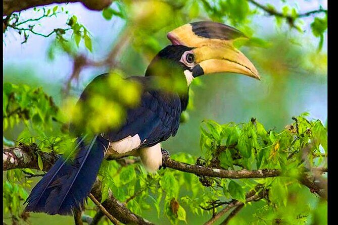 Bundala National Park Safari from Dikwella - An In-Depth Look at the Tour Experience