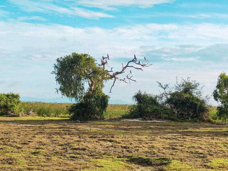 Bundala National Park Safari from Hikkaduwa - Wrapping Up the Day