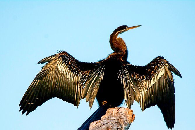 Bundala National Park Safari from Tangalle - Additional Practical Details