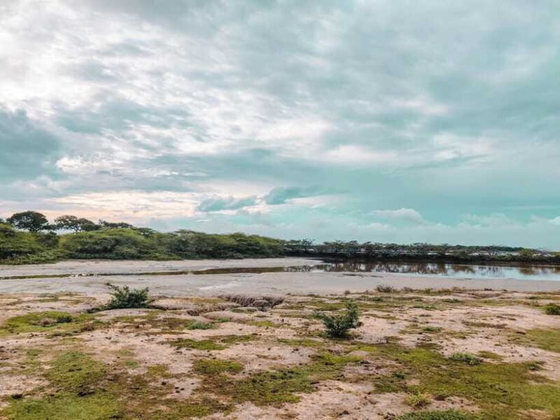 Bundala National Park Safari from Weligama - FAQ