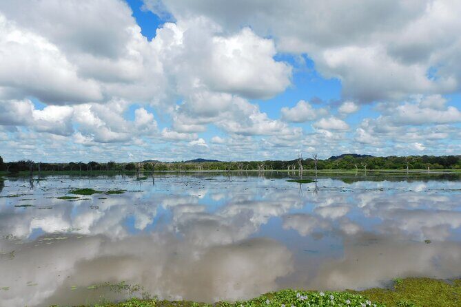 Bundala National Park : Safari Tour with Entrance tickets & Jeep - The Cost: Is It Value for Money?
