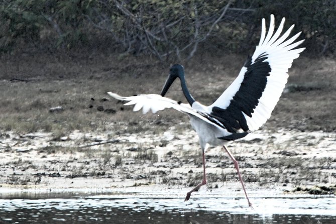 Bundala National Park Small-Group Half-Day Tour  - Yala National Park - Meeting and Pickup Details