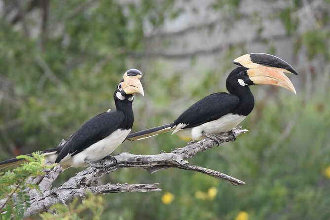 Bundala National Park Small-Group Half-Day Tour  - Yala National Park - Common Questions