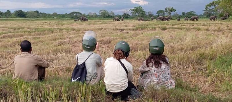 Bundala village tour with Local Guide - Good To Know