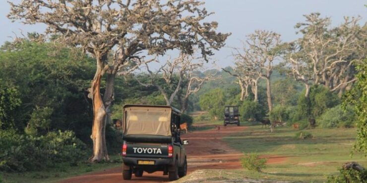 Bundala Wildlife Adventure:Full-Day Safari With Picnic Lunch - Cancellation Policy Details