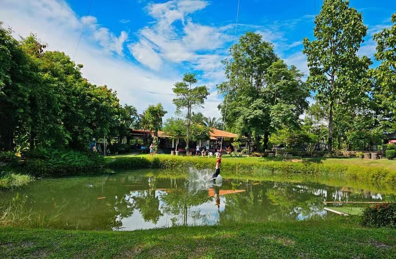 Bungee Jumping Package in Chiang Mai - Who should book this Chiang Mai bungee jump?