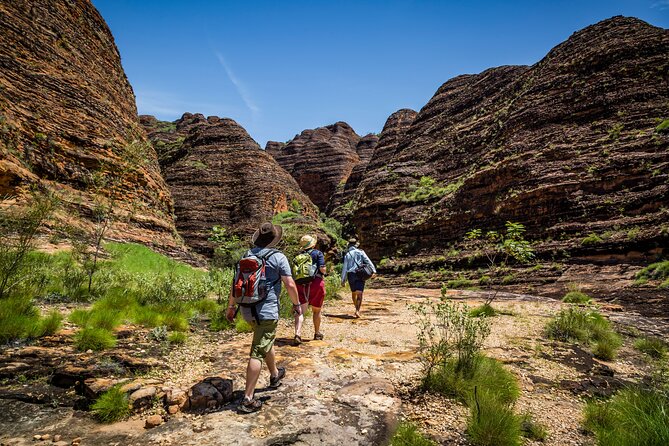 Bungle Bungle Flight & Domes To Cathedral Gorge Walking Tour - Additional Information and Requirements