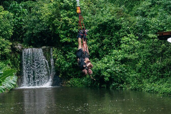 Bungy Jump Experience at Skypark Cairns by AJ Hackett - What Makes the Skypark Cairns Bungy Jump Special?