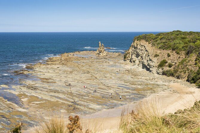 Bunurong Coast and Penguin Parade Private Tour - Starting with Inverloch: Seaside Charm and Local Life