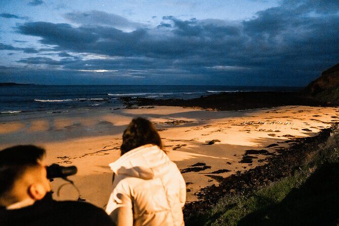 Bunurong Coast and Penguin Parade Private Tour - Inverloch Surf Beach & The Amazon Shipwreck