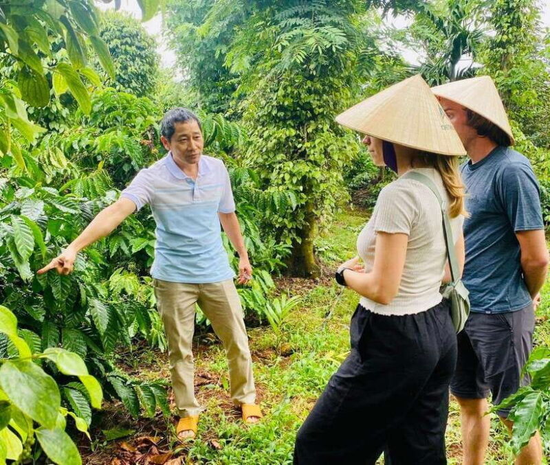 Buon Ma Thuot: Bean to Brew Coffee Farm Tour with Tasting - Authentic Experiences & Honest Insights