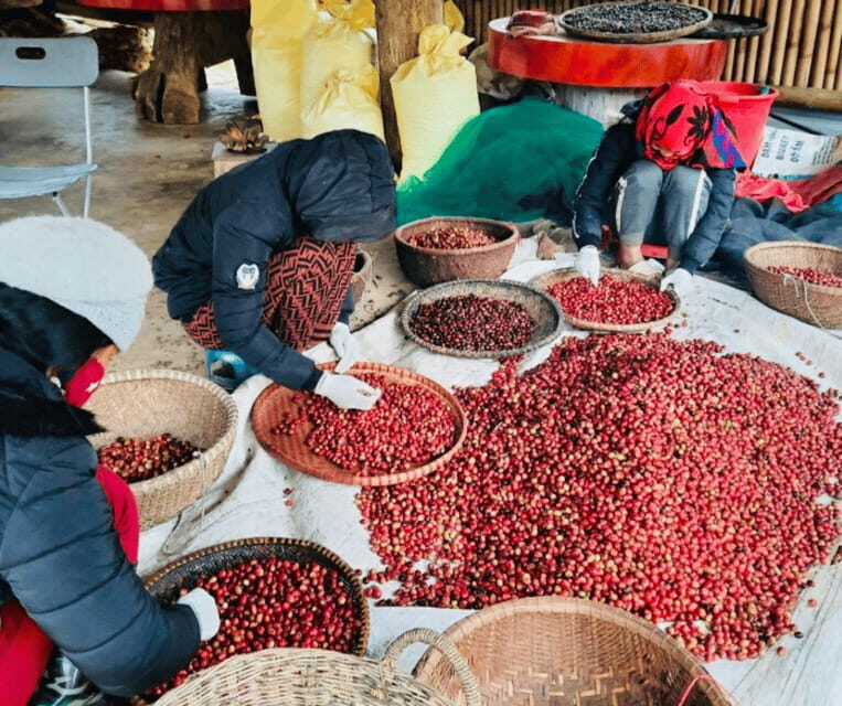 Buon Ma Thuot: Bean to Brew Coffee Farm Tour with Tasting - Final Thoughts