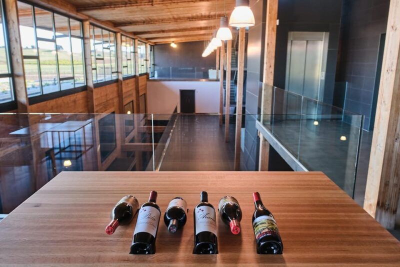 Burgos: Bela Winery - Villalba De Duero - Avant-Garde Design and Facilities