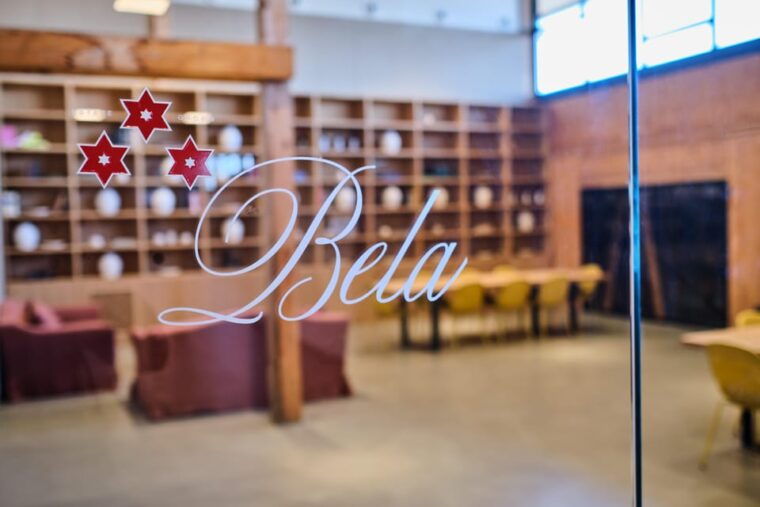 Burgos: Bela Winery - Villalba De Duero - Vineyard Stroll and Sunset Visit