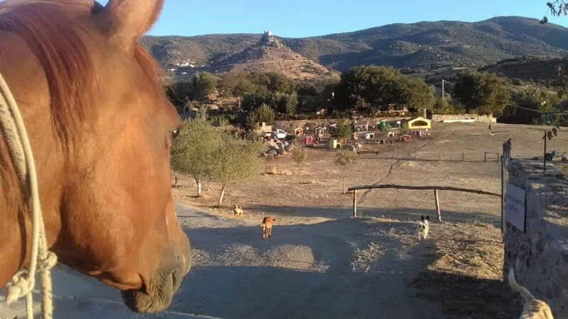 Burgos: visit to a farm with tasting - Final Thoughts