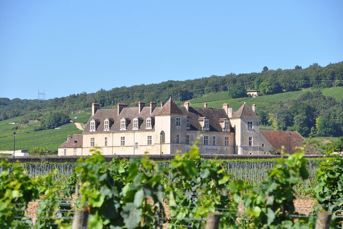 Burgundy: 2-Day Vineyard Visits and Wine Tasting Tour  - Dijon - Good To Know