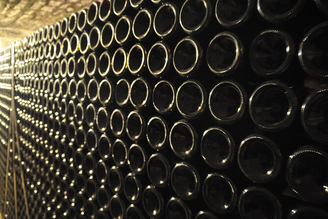 Burgundy: 2-Day Vineyard Visits and Wine Tasting Tour  - Dijon - Vineyard Visits
