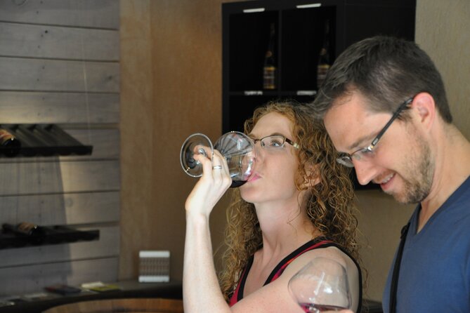 Burgundy: 2-Day Vineyard Visits and Wine Tasting Tour  - Dijon - Wine Tasting Experiences