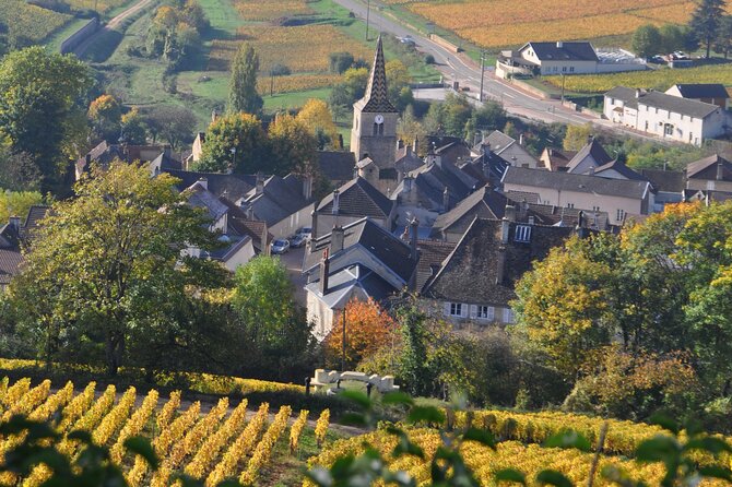 Burgundy: 2-Day Vineyard Visits and Wine Tasting Tour  - Dijon - The Route Des Grands Crus