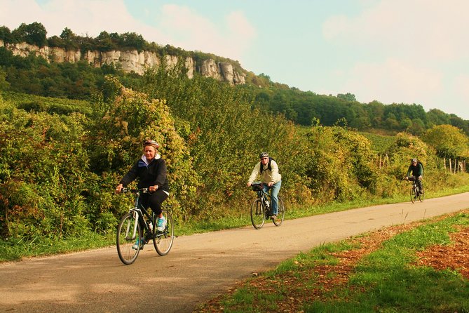 Burgundy Bike Tour With Wine Tasting From Beaune - What to Expect on the Bike Tour