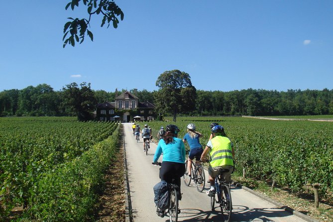 Burgundy Bike Tour With Wine Tasting From Beaune - Recommendations for E-Bikes