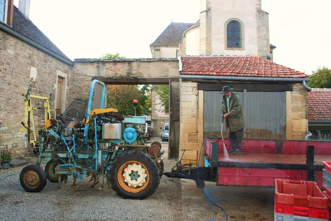 Burgundy Bike Tour With Wine Tasting From Beaune - Common Questions