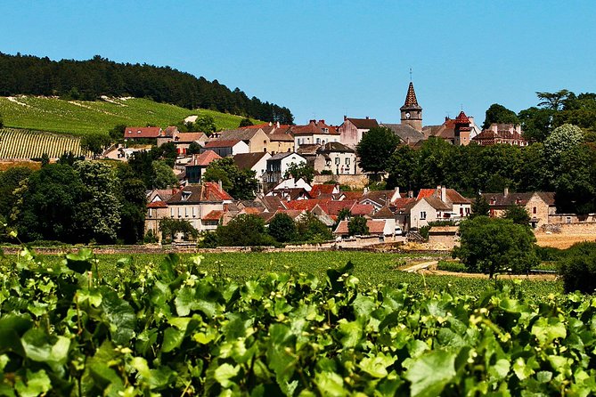 Burgundy Chablis and Beaune Group Tasting Tour From Paris - Pricing and Reservation