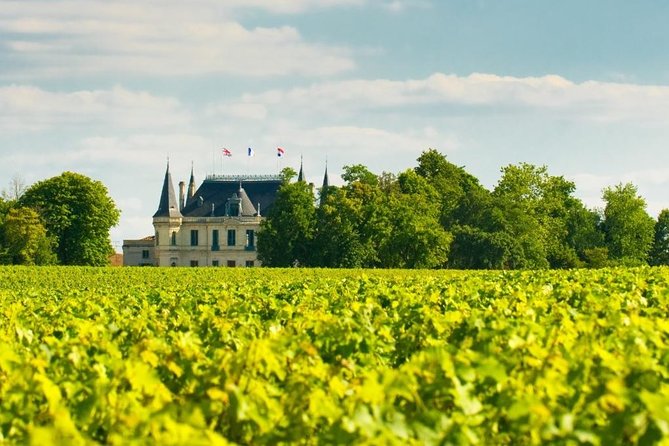 Burgundy Day Trip With Wine Tasting, Lunch, and Visit to Auxerre From Paris - Wine Tasting at Chablis Vineyard