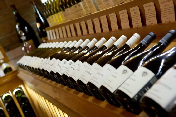 Burgundy: Domaine De Montmain Cellar Visit and Wine Tasting - Experience Highlights